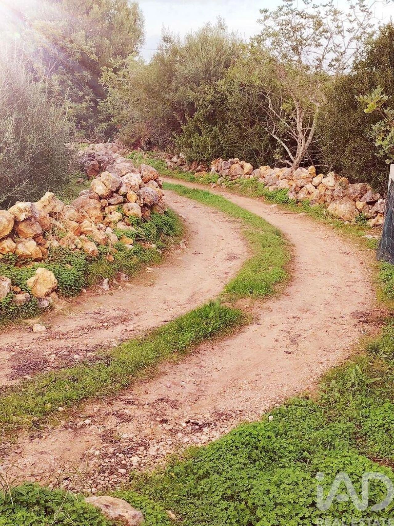 Terreno para Venda em Moncarapacho e Fuseta Foto 2