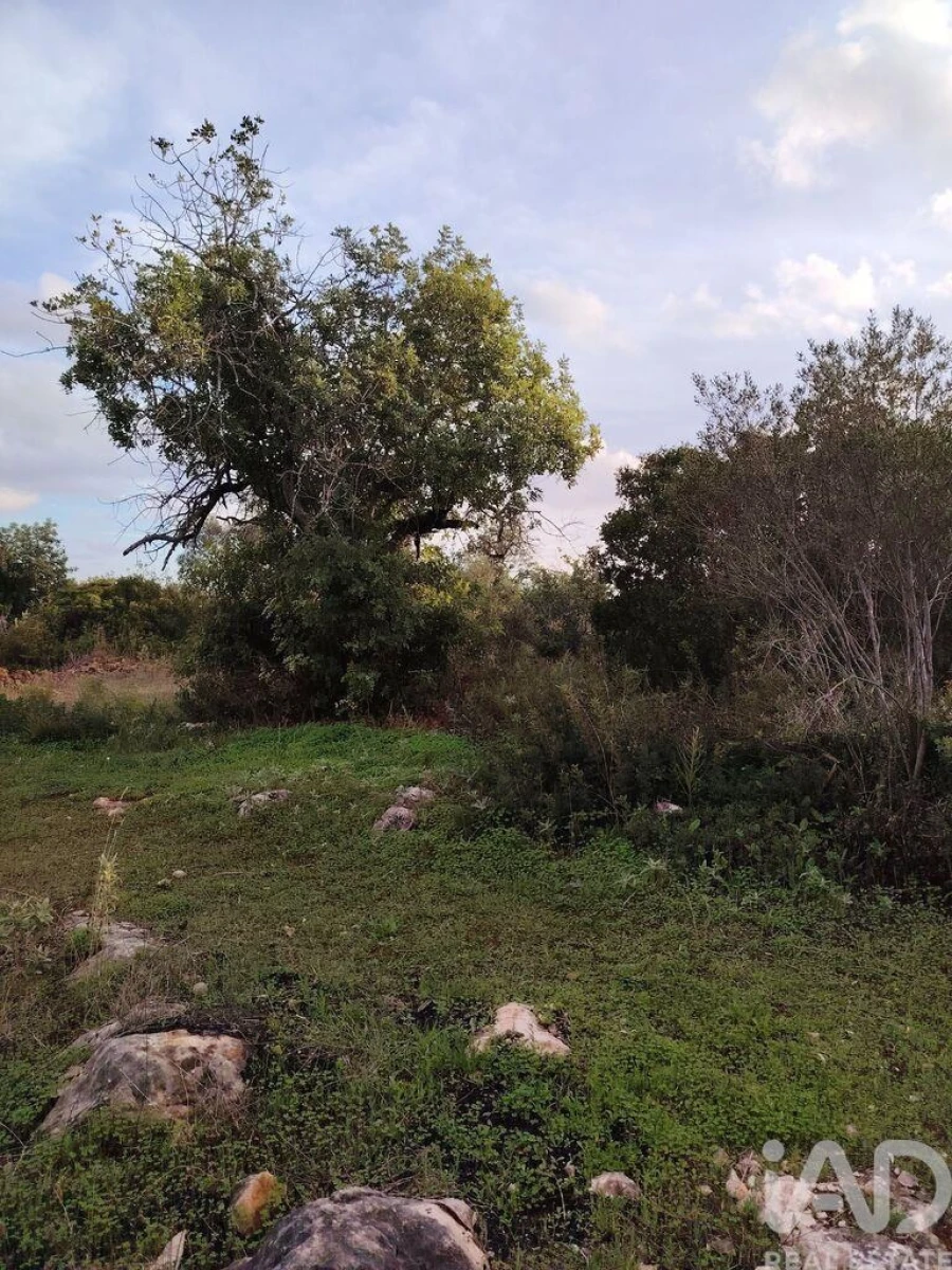 Terreno para Venda em Moncarapacho e Fuseta Foto 6