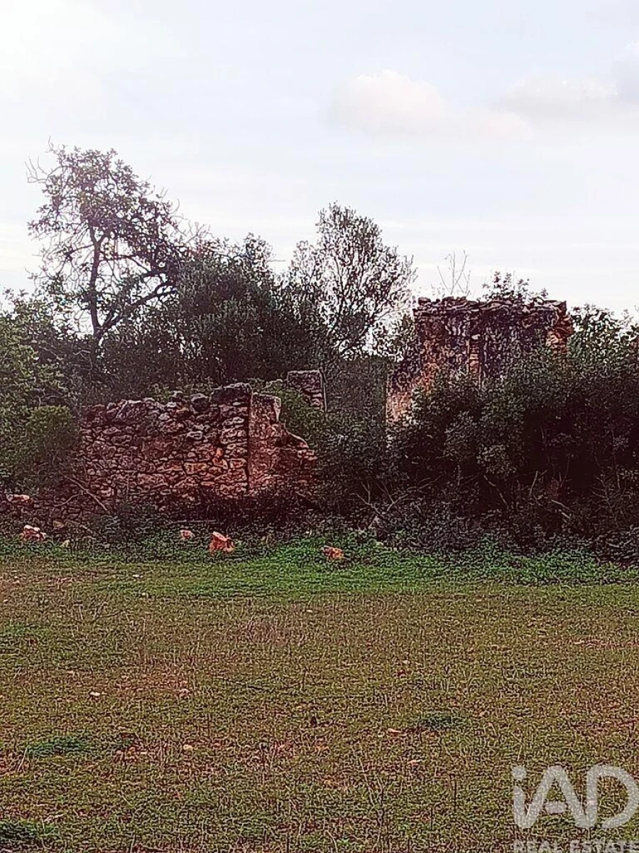 Terreno para Venda em Moncarapacho e Fuseta Foto 5