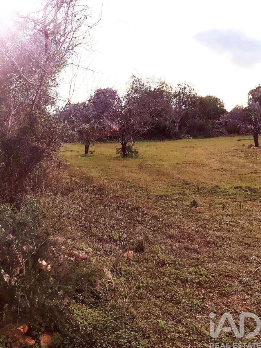 Terreno para Venda em Moncarapacho e Fuseta Foto 7