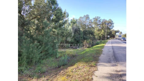 Terreno para Venda em Sesimbra (Castelo)