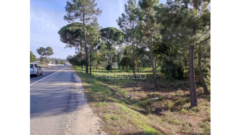Terreno para Venda em Sesimbra (Castelo)