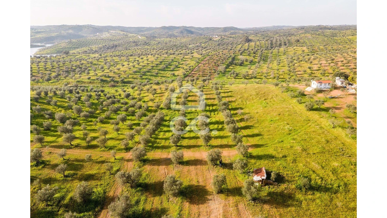 Terreno para Venda em Portel Foto 27