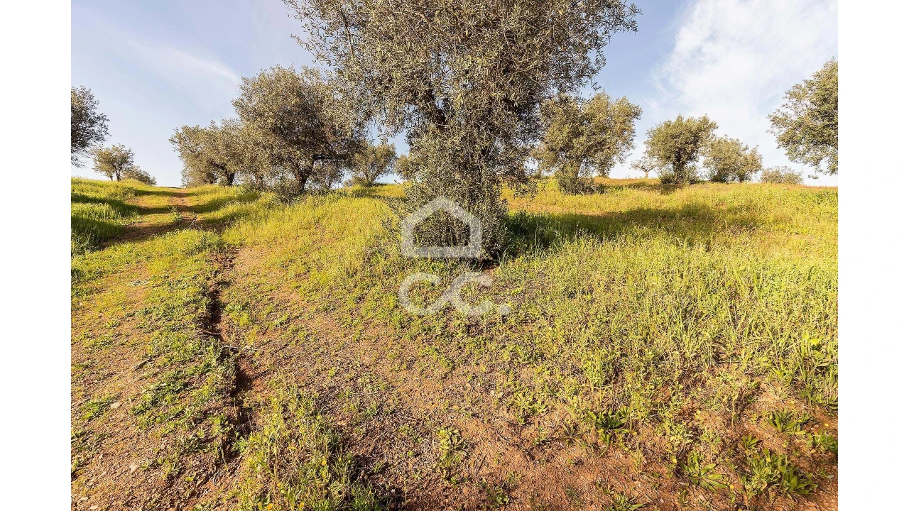 Terreno para Venda em Portel Foto 36