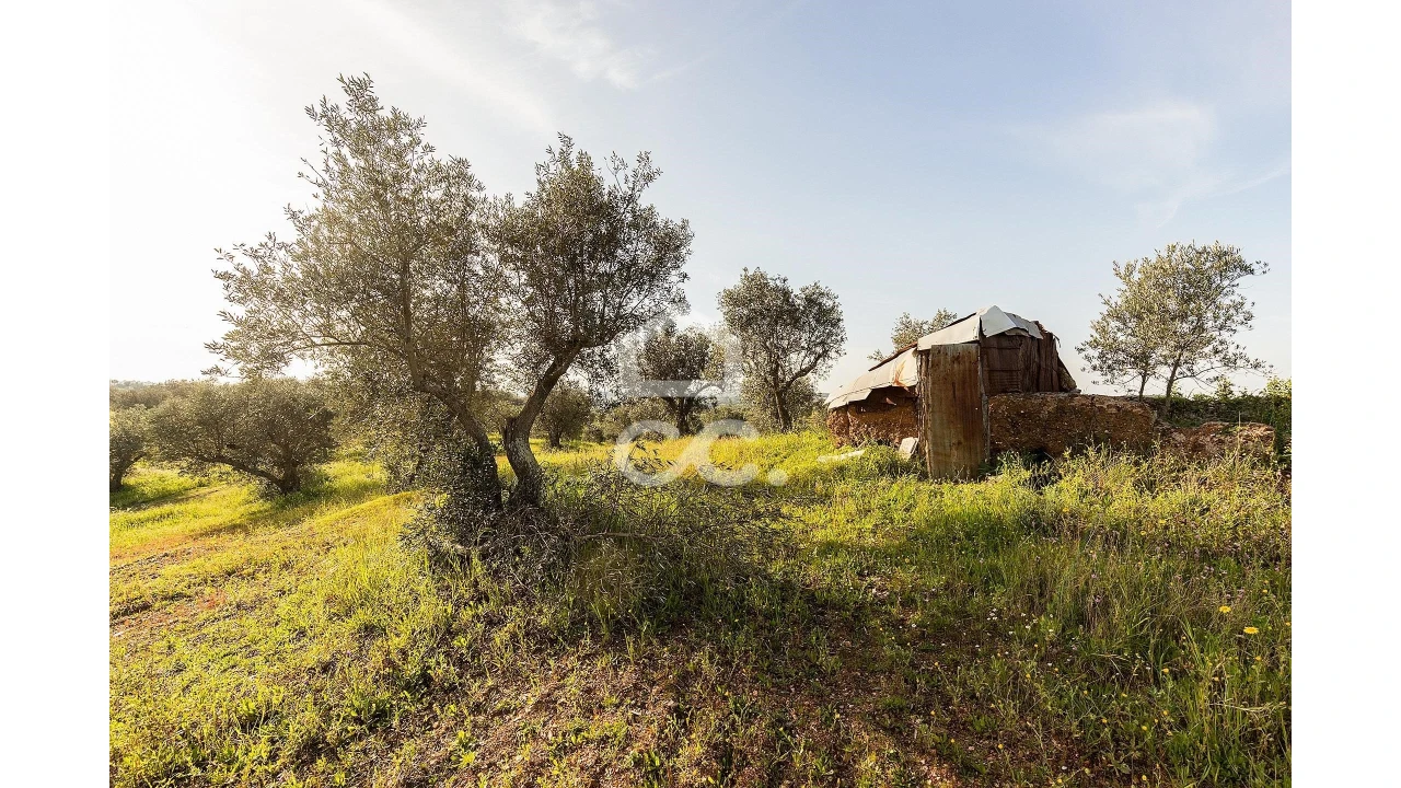 Terreno para Venda em Portel Foto 32