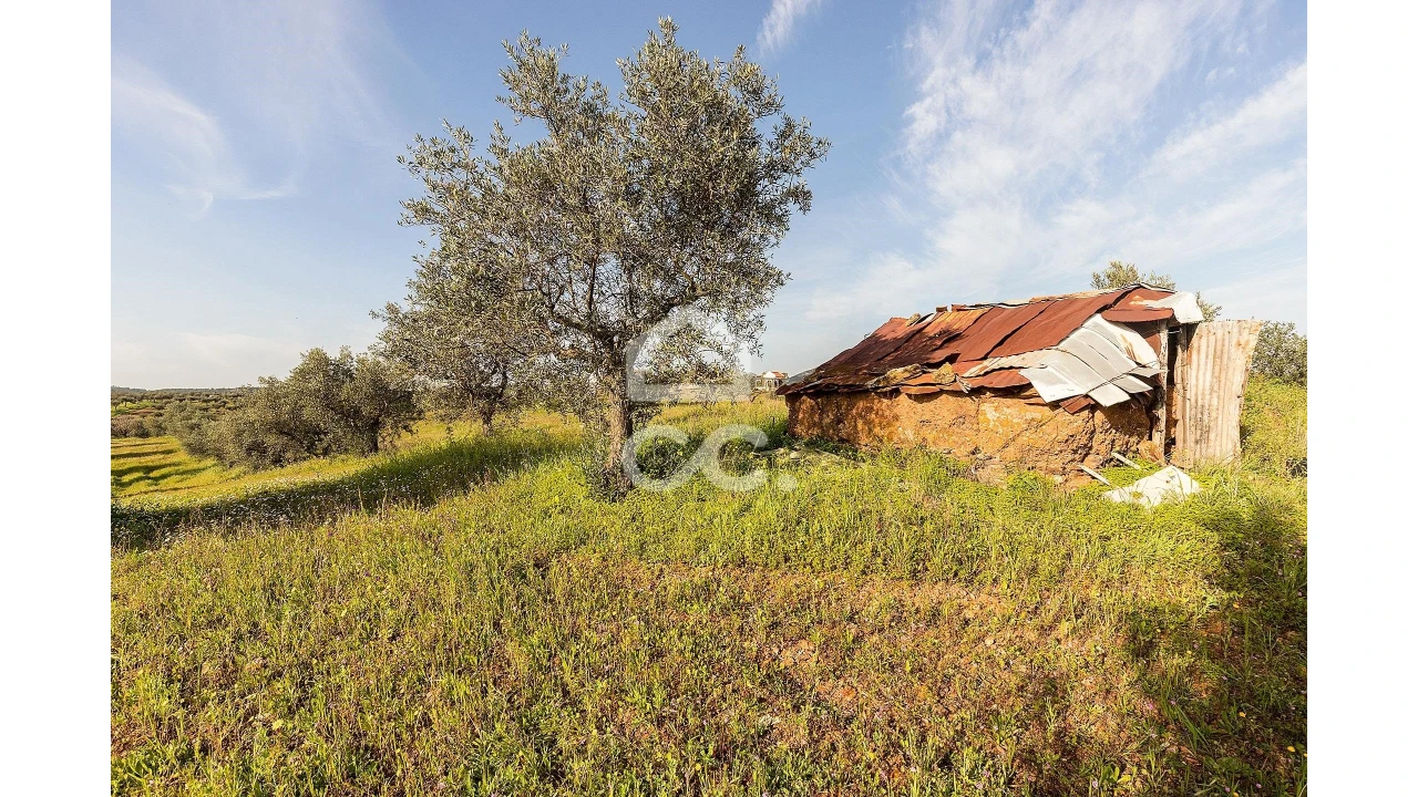Terreno para Venda em Portel Foto 6
