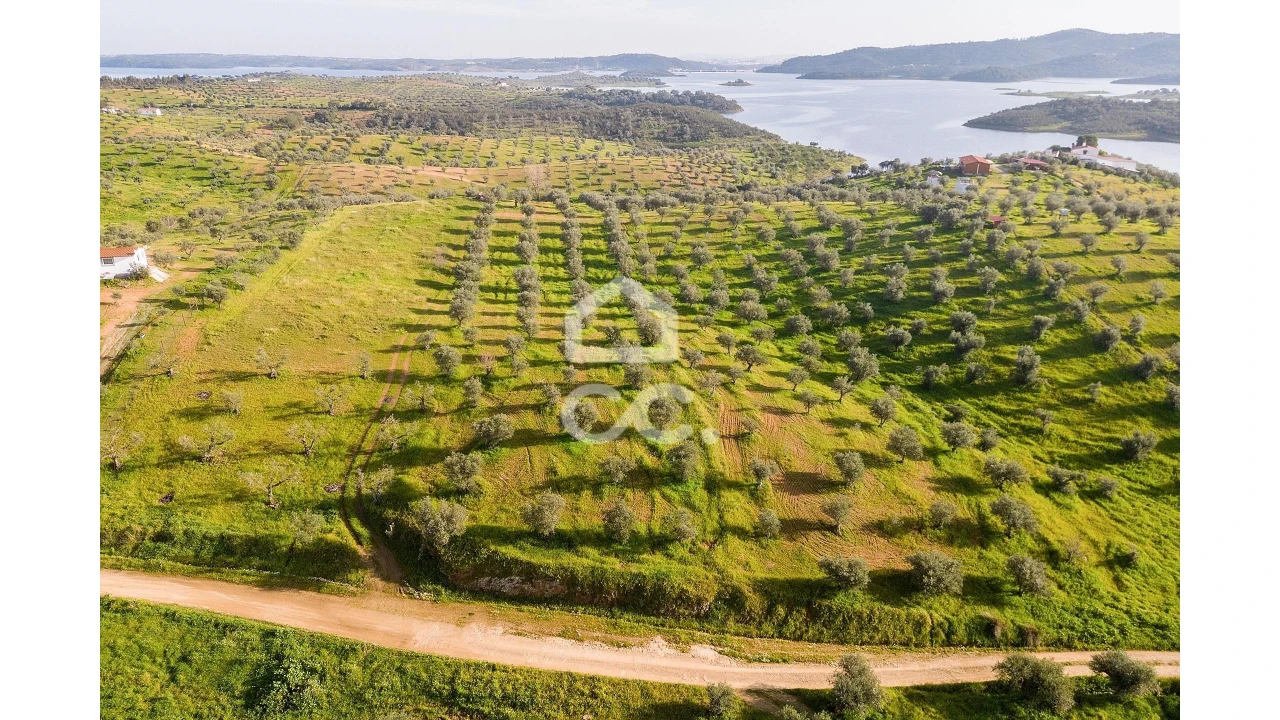 Terreno para Venda em Portel Foto 1