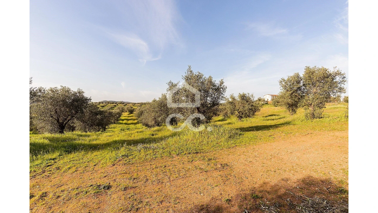 Terreno para Venda em Portel Foto 41