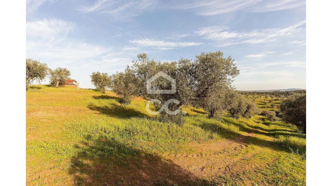 Terreno para Venda em Portel Foto 39
