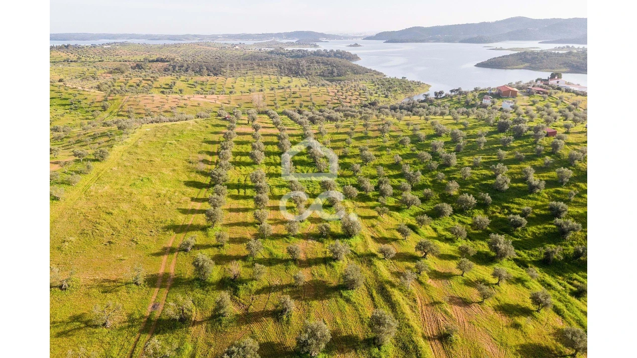 Terreno para Venda em Portel Foto 14