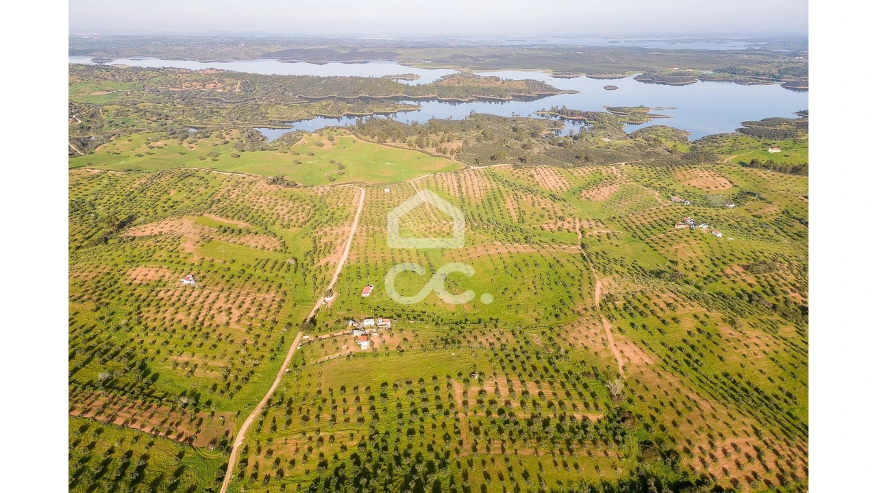 Terreno para Venda em Portel Foto 11
