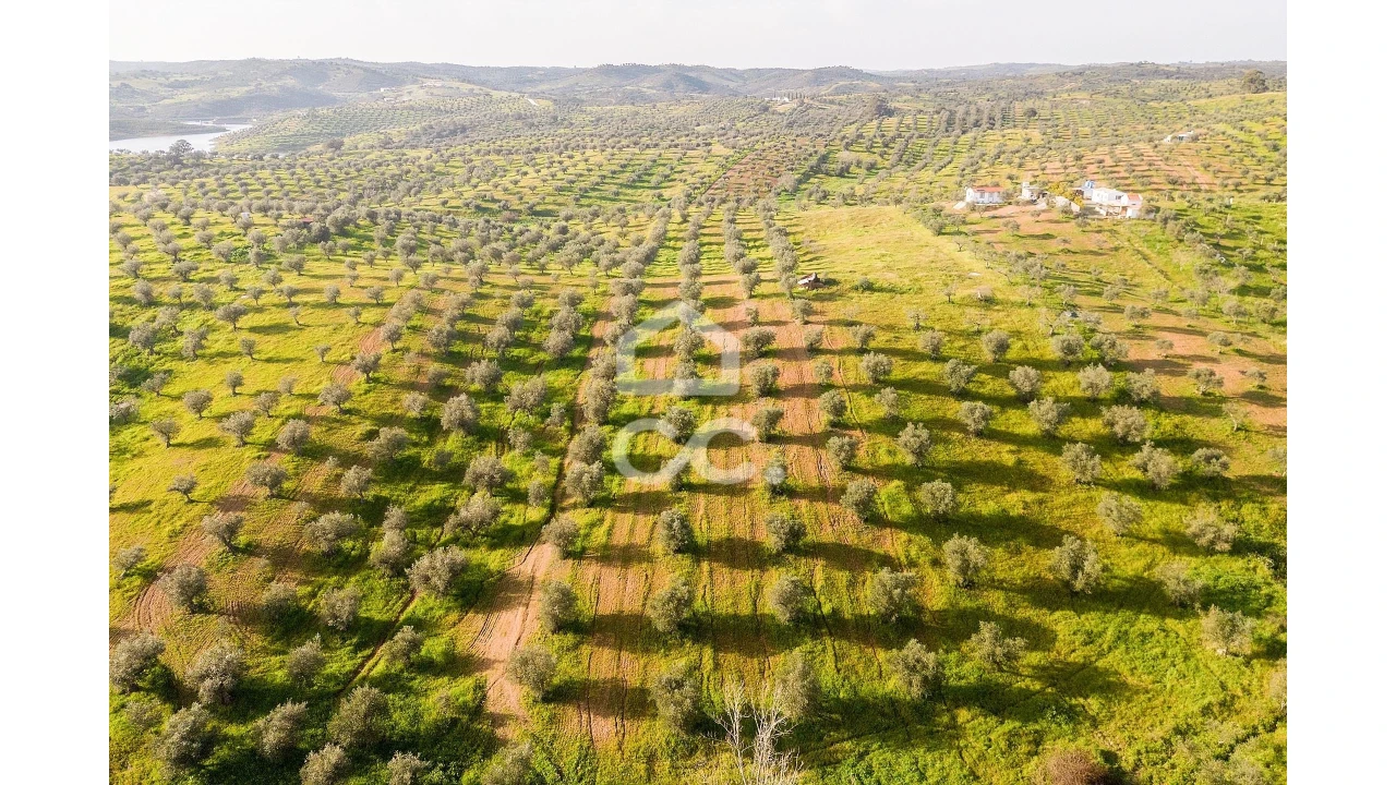 Terreno para Venda em Portel Foto 29