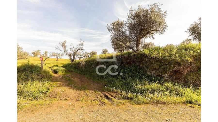 Terreno para Venda em Portel Foto 37