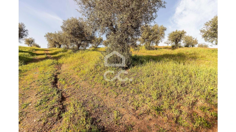 Terreno para Venda em Portel Foto 36