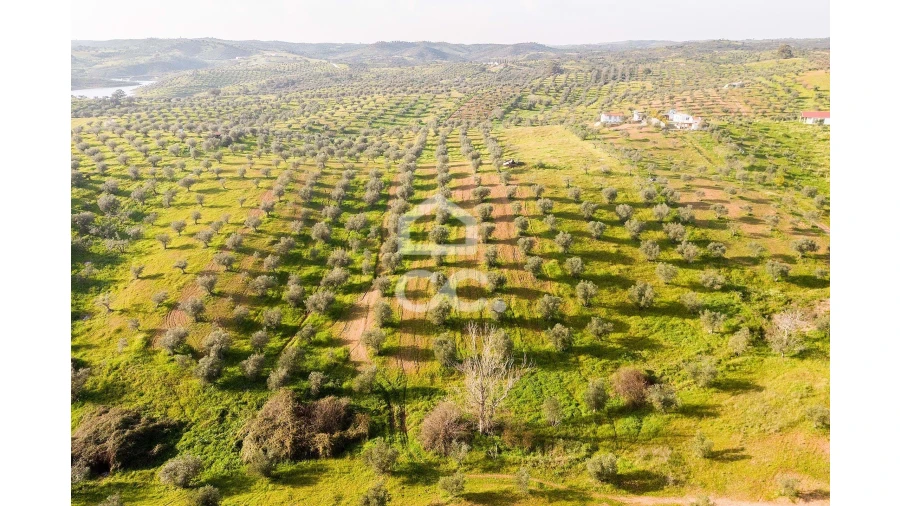 Terreno para Venda em Portel Foto 31