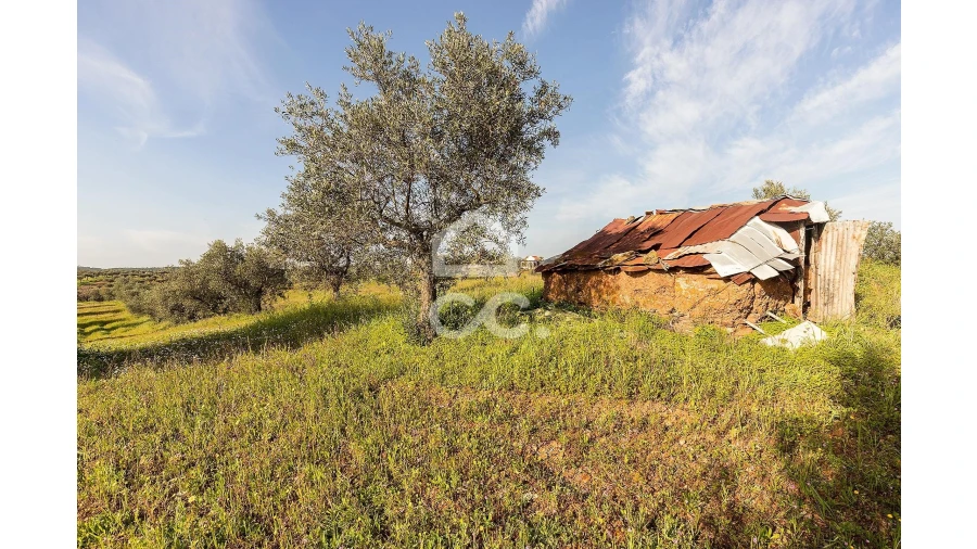 Terreno para Venda em Portel Foto 6