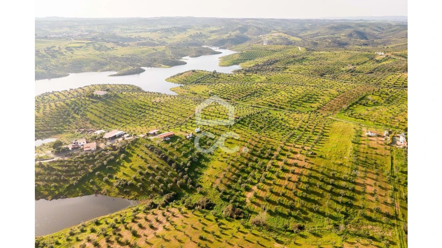 Terreno para Venda em Portel Foto 22