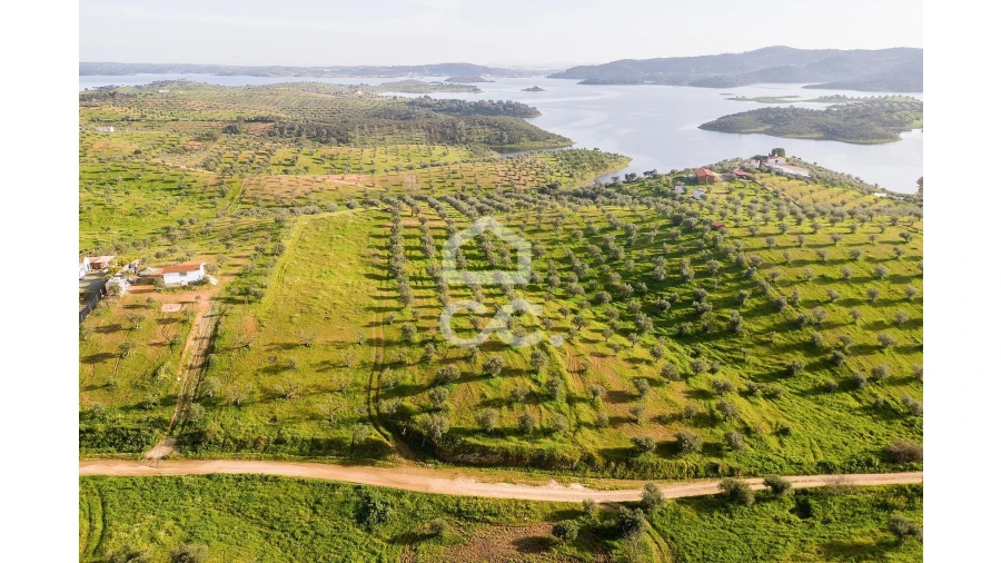 Terreno para Venda em Portel Foto 15