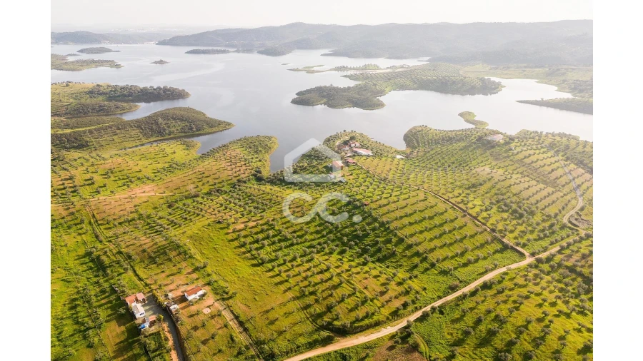 Terreno para Venda em Portel Foto 18