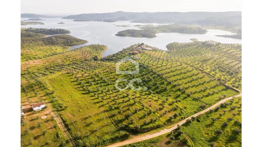 Terreno para Venda em Portel Foto 17