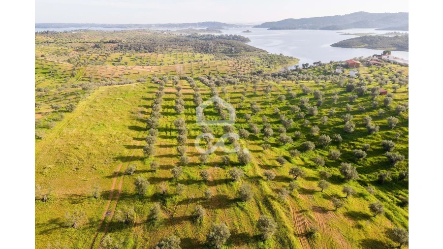 Terreno para Venda em Portel Foto 14