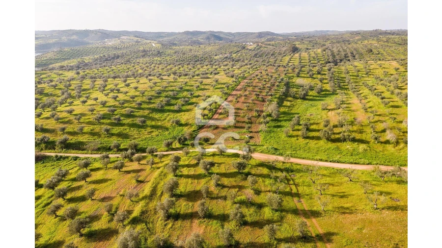 Terreno para Venda em Portel Foto 25