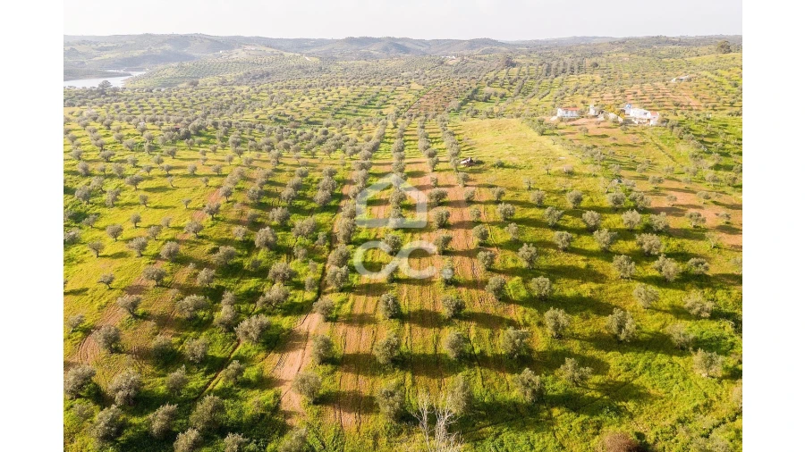Terreno para Venda em Portel Foto 29