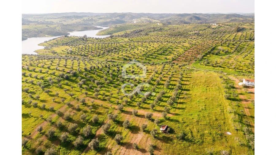 Terreno para Venda em Portel Foto 28