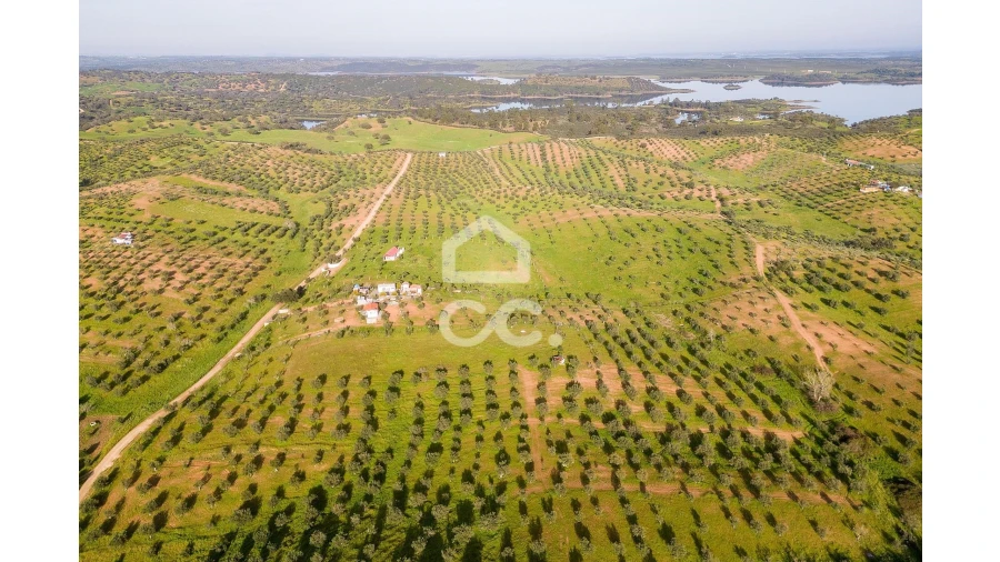 Terreno para Venda em Portel Foto 16