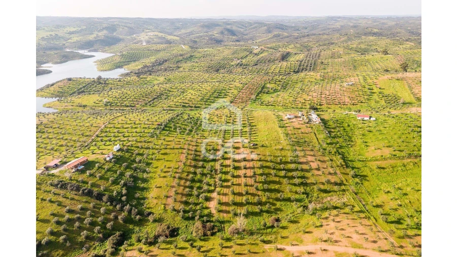 Terreno para Venda em Portel Foto 30