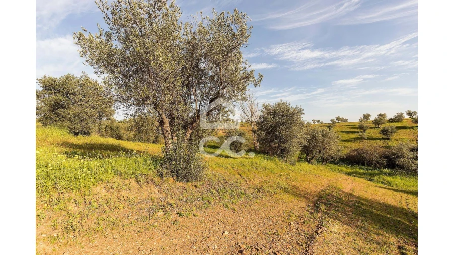 Terreno para Venda em Portel Foto 38
