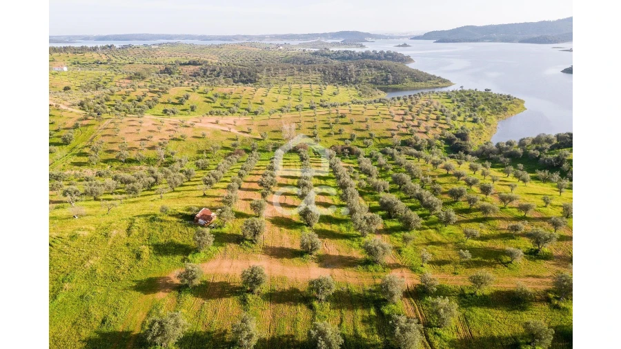 Terreno para Venda em Portel Foto 9