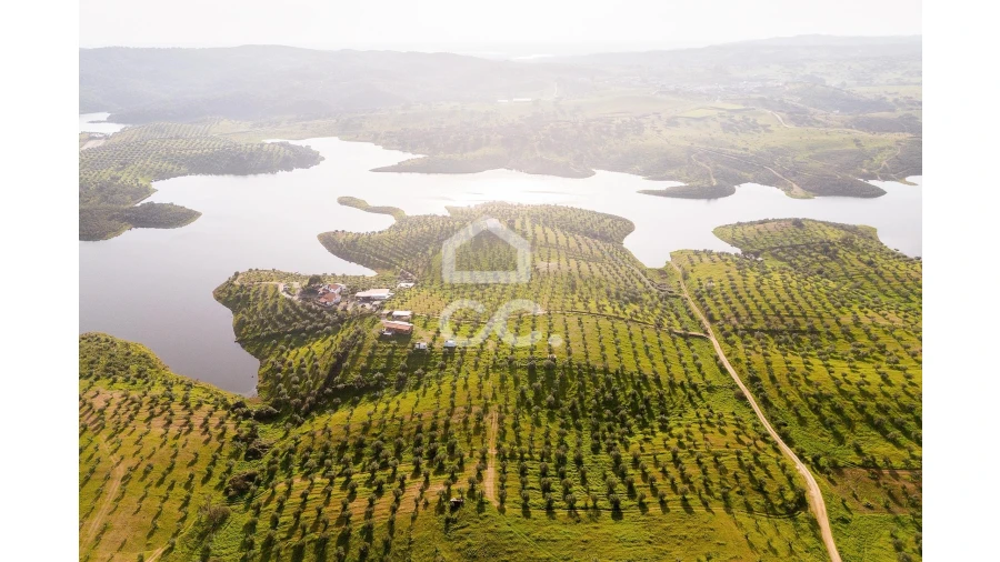 Terreno para Venda em Portel Foto 23