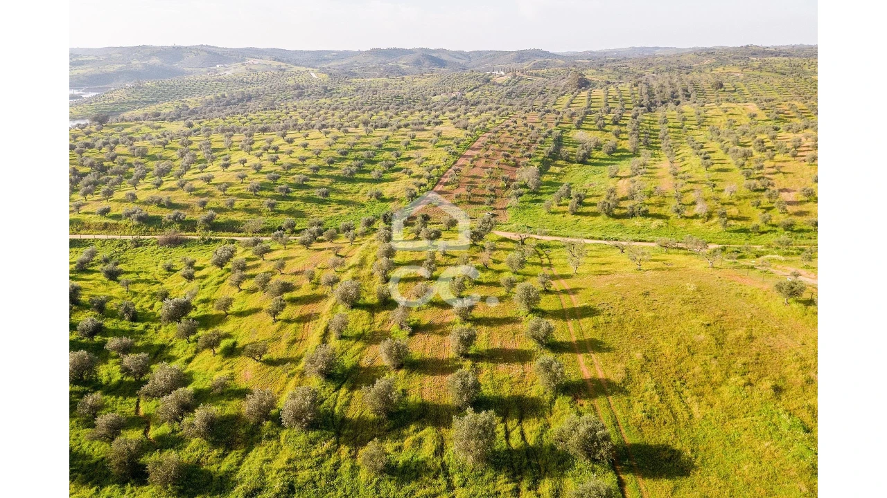 Terreno para Venda em Portel Foto 26