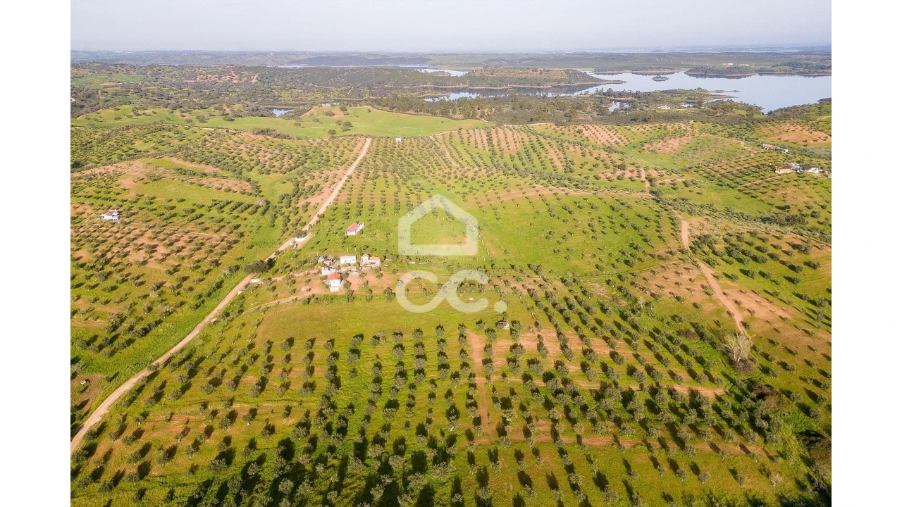 Terreno para Venda em Portel Foto 16