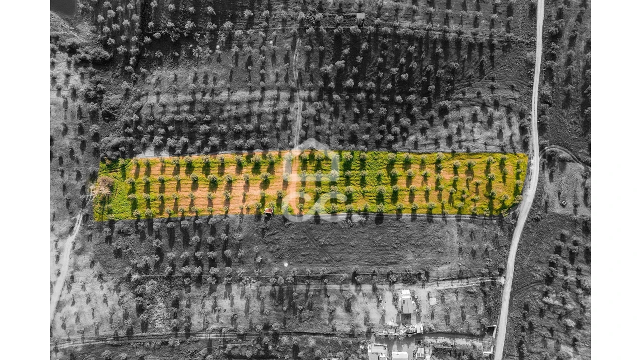 Terreno para Venda em Portel Foto 7