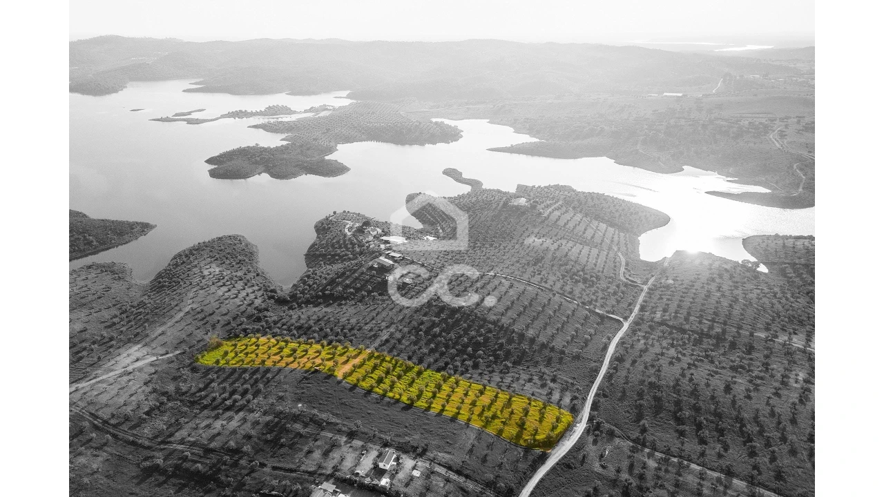 Terreno para Venda em Portel Foto 2