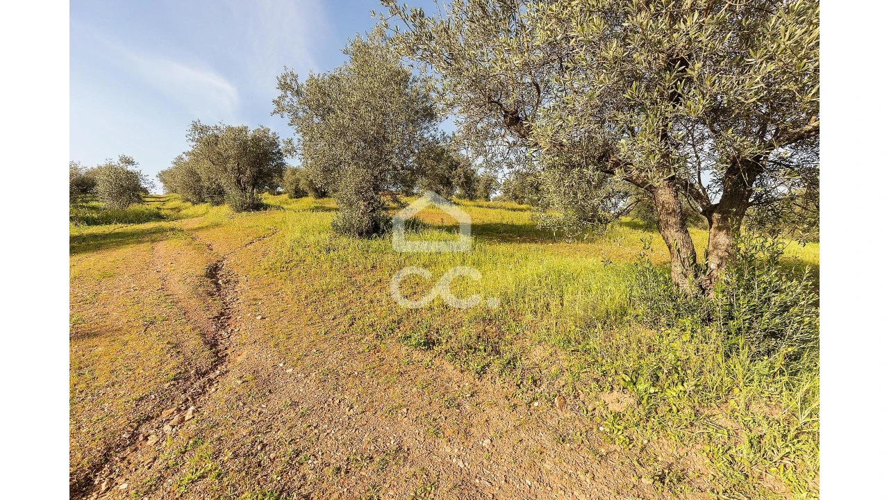 Terreno para Venda em Portel Foto 35