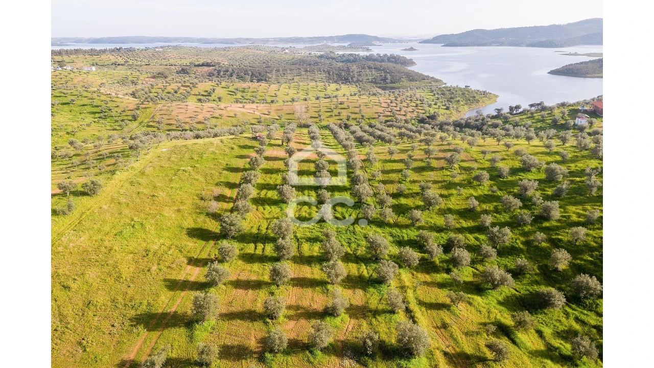 Terreno para Venda em Portel Foto 8