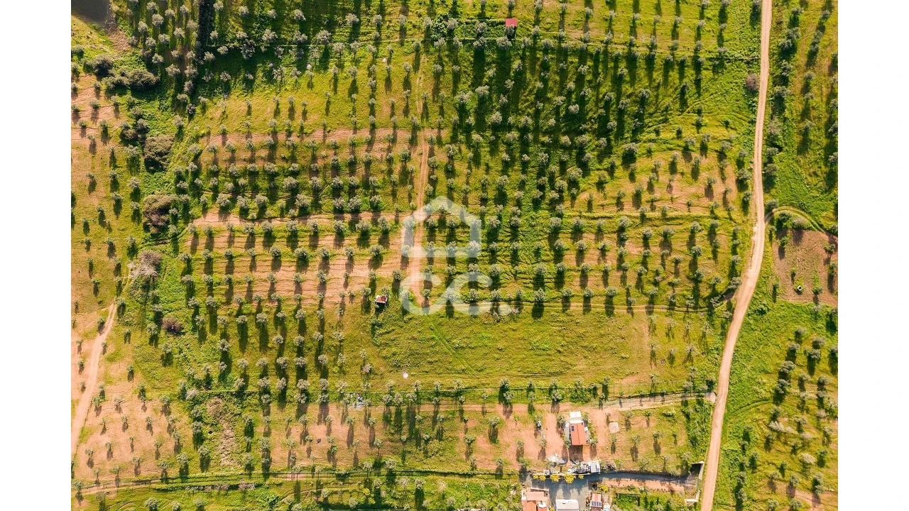 Terreno para Venda em Portel Foto 21