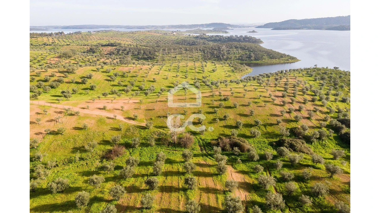 Terreno para Venda em Portel Foto 13
