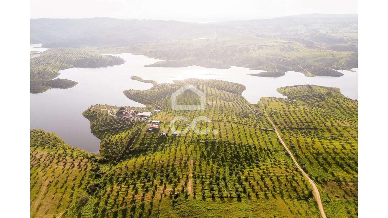 Terreno para Venda em Portel Foto 23