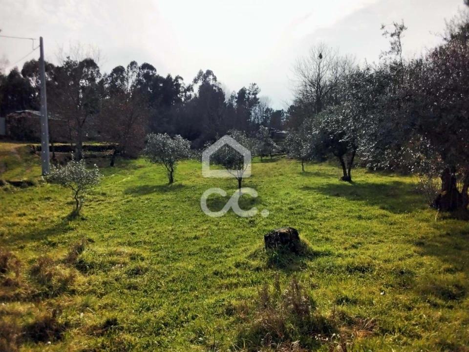 Terreno para Venda em Boa Aldeia, Farminhão e Torredeita Foto 4