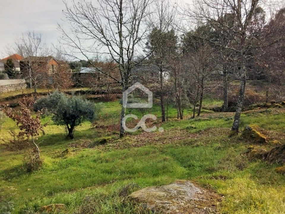 Terreno para Venda em Boa Aldeia, Farminhão e Torredeita Foto 10