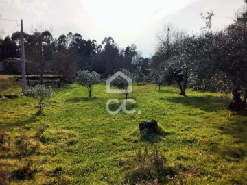 Terreno para Venda em Boa Aldeia, Farminhão e Torredeita