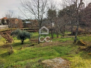 Terreno para Venda em Boa Aldeia, Farminhão e Torredeita