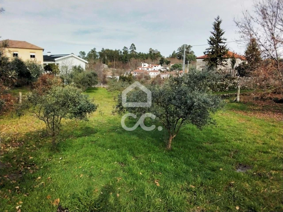 Terreno para Venda em Boa Aldeia, Farminhão e Torredeita Foto 8