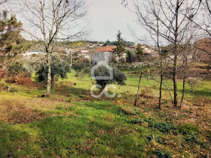 Terreno para Venda em Boa Aldeia, Farminhão e Torredeita Foto 3