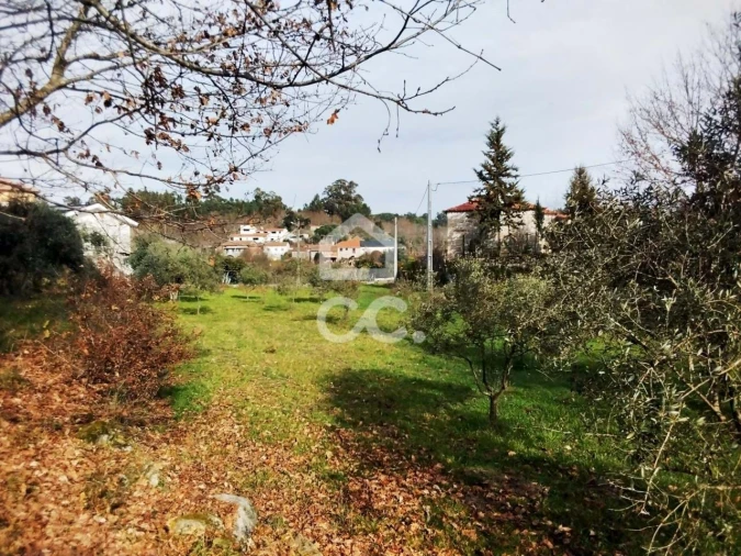 Terreno para Venda em Boa Aldeia, Farminhão e Torredeita Foto 6