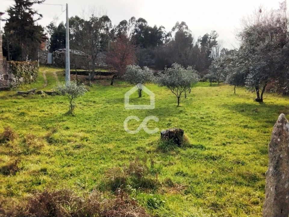 Terreno para Venda em Boa Aldeia, Farminhão e Torredeita Foto 13